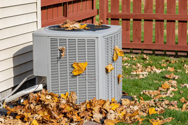 Best HVAC air duct cleaning  in New Bern, NC